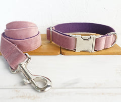 Adjustable Dog Collar & Leash – product photo