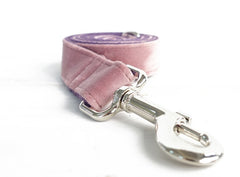 Adjustable Dog Collar & Leash – detail photo 2