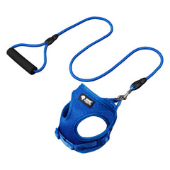 Foam Handle Dog Leash with Collar