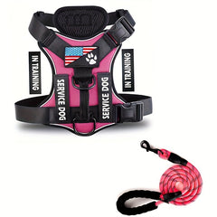Dog Harness & Leash Set – detail photo 4