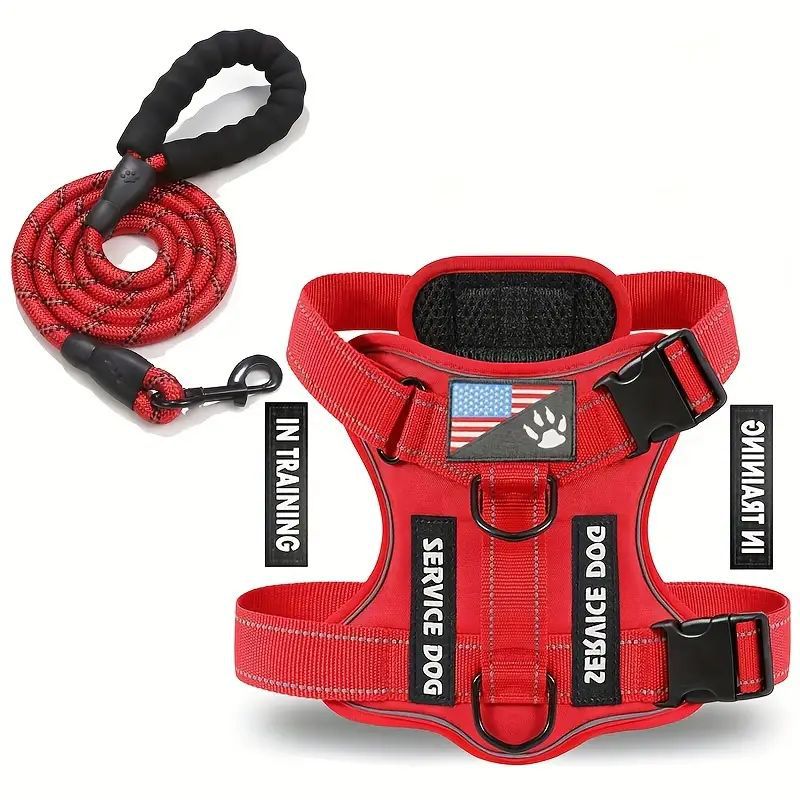 Dog Harness & Leash Set – product photo