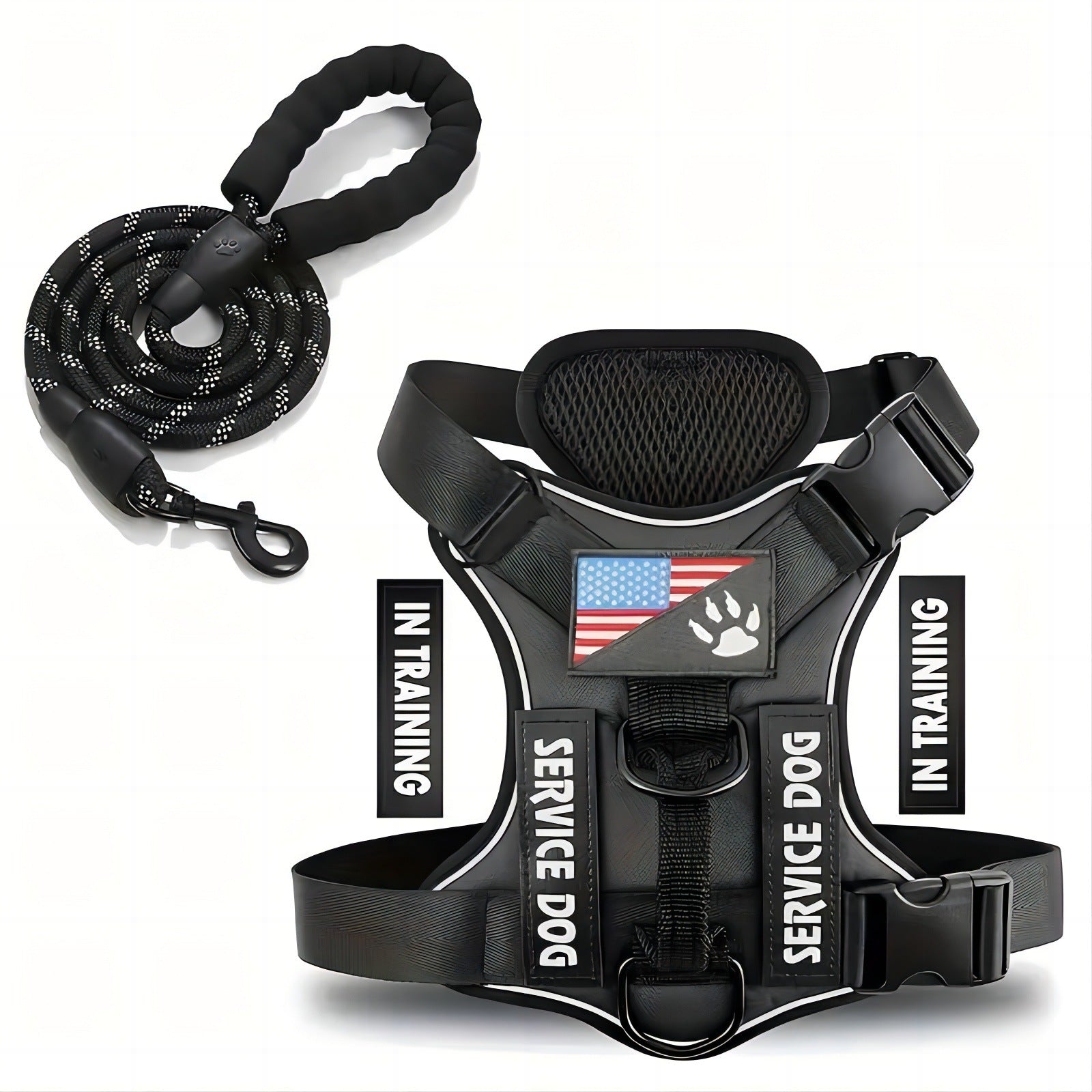 Dog Harness & Leash Set