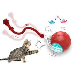 Interactive Chirping Cat Ball Toy
